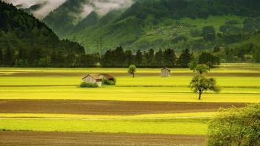 grand terrain